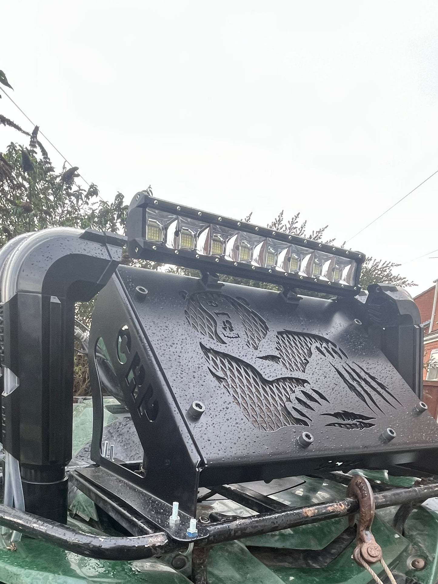 Green ATV with black front bumper and light on a grassy area