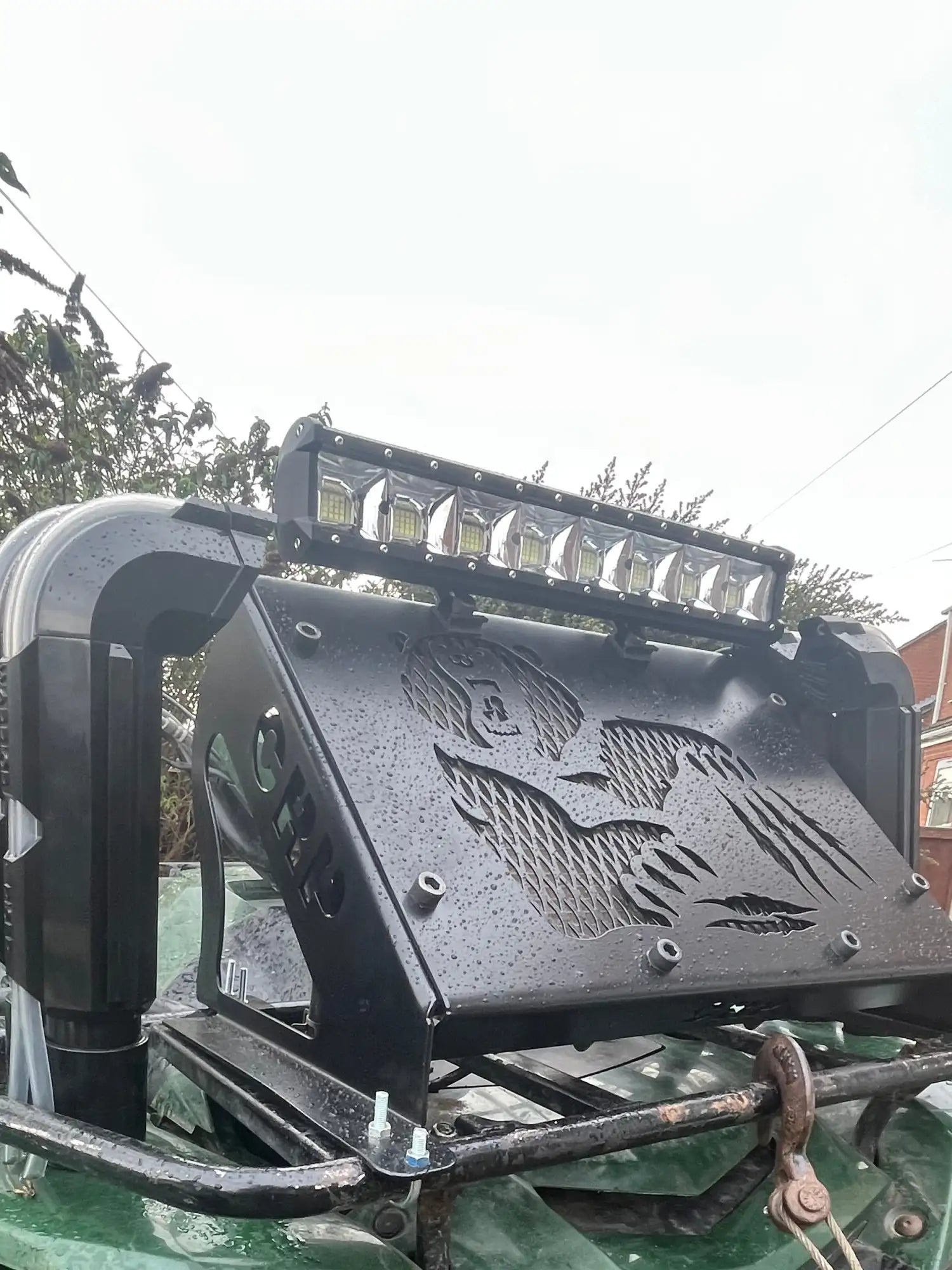 Green ATV with black front bumper and light on a grassy area