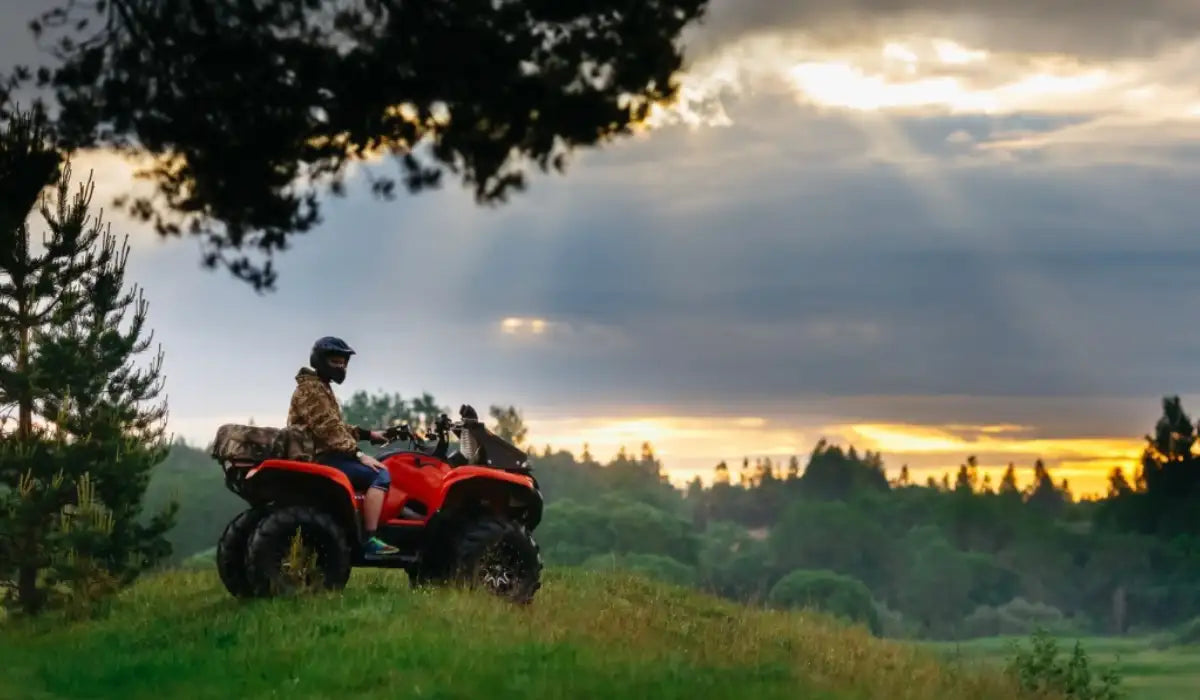 Red all-terrain vehicle with rugged tires and a cargo rack, parked on grassy terrain under a dramatic sky